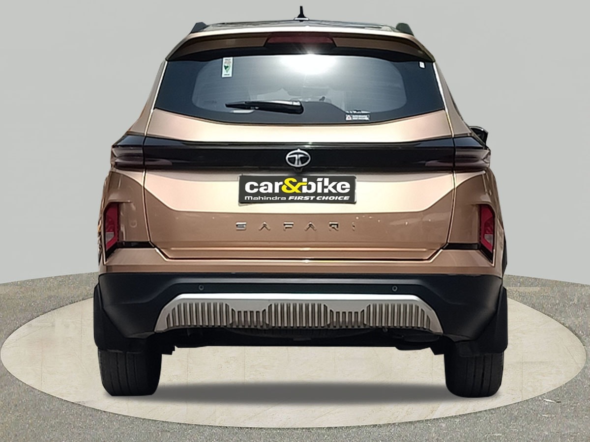 Safari image 4 Safari image 4