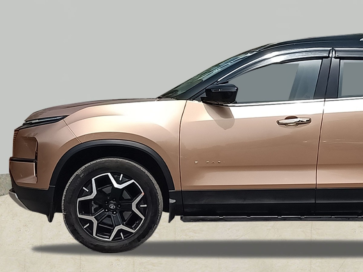 Safari image 9 Safari image 9