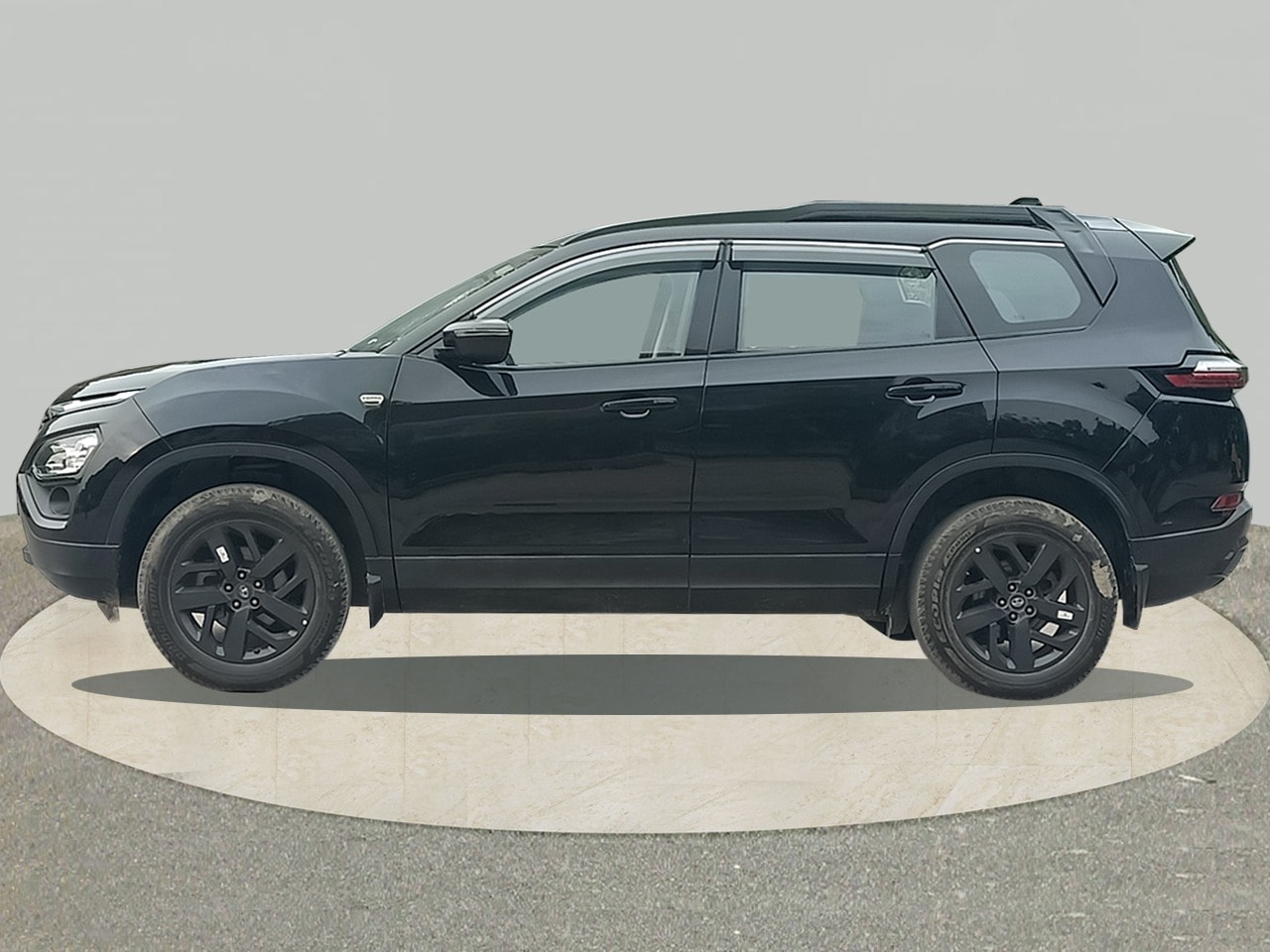 Safari image 2 Safari image 2