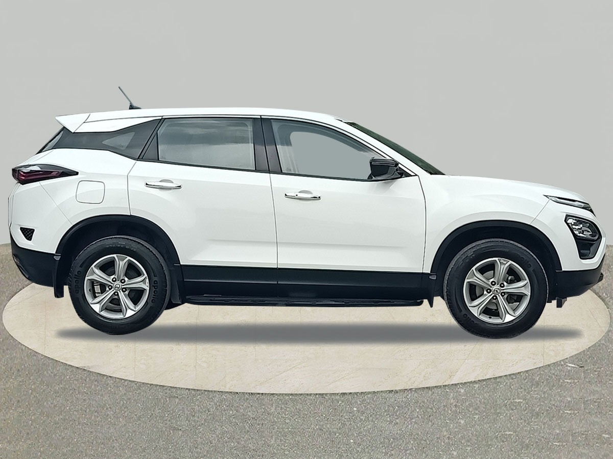 Harrier image 6 Harrier image 6