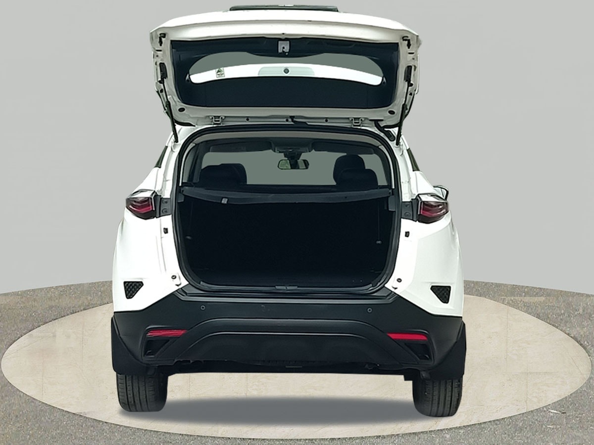 Harrier image 10 Harrier image 10