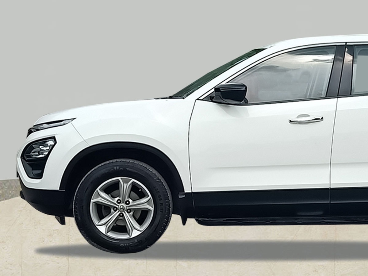 Harrier image 9 Harrier image 9