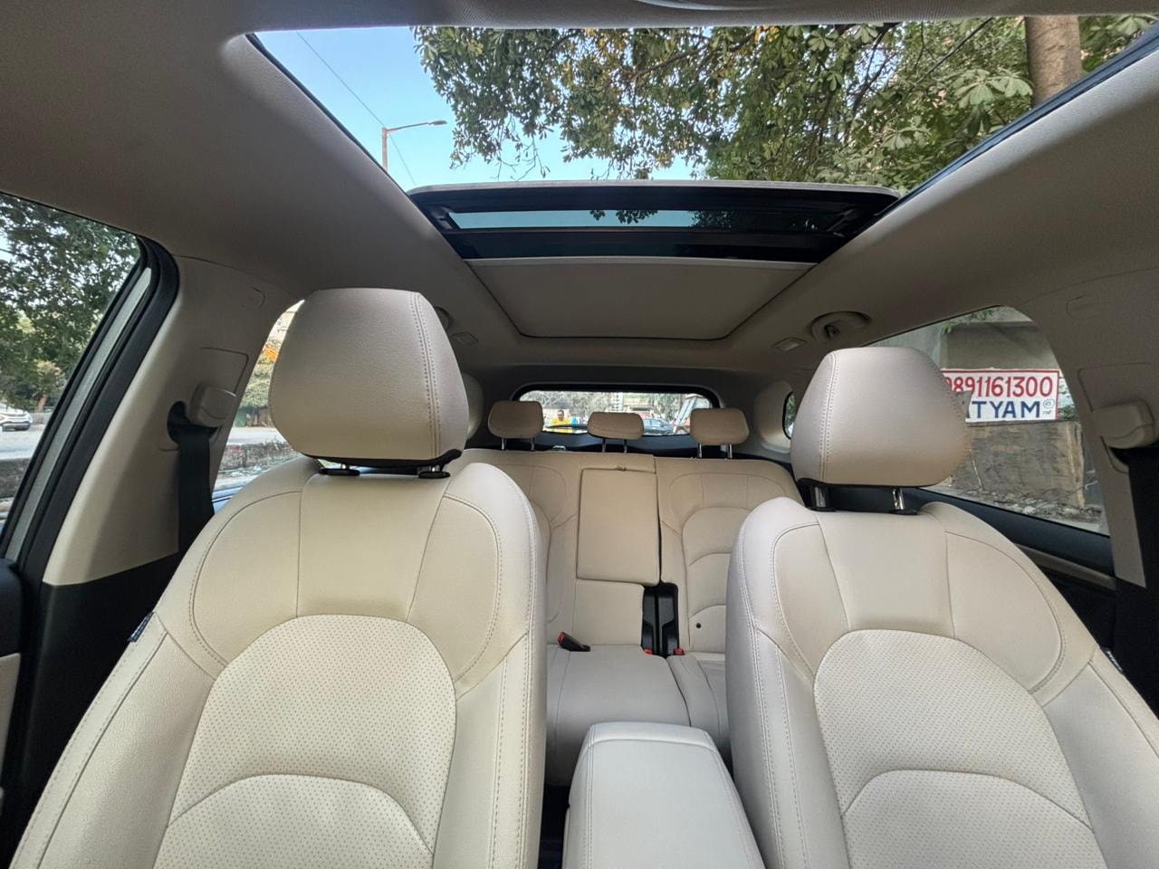 Hector image 16 Hector image 16