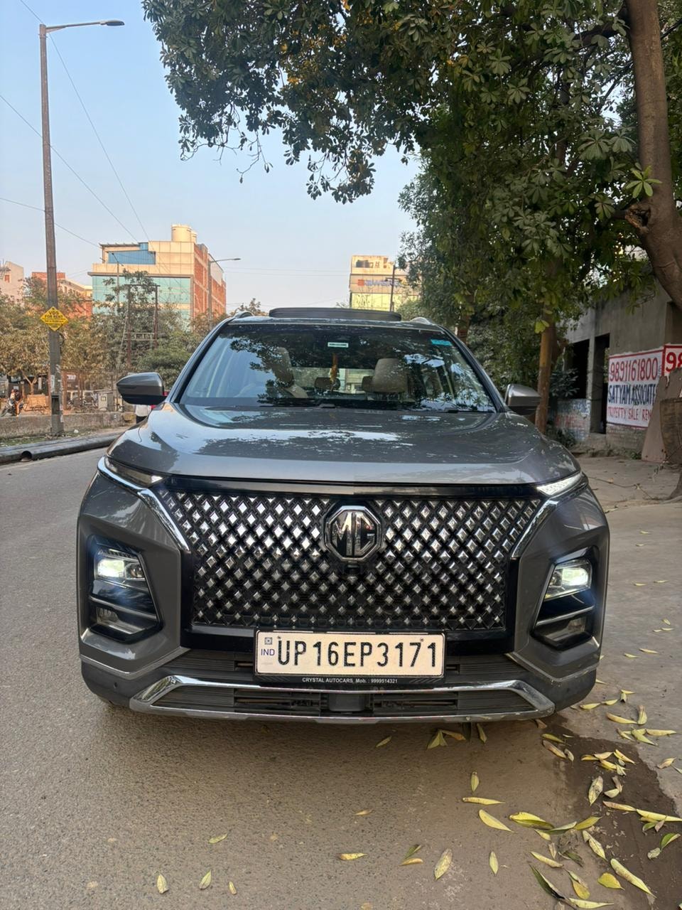 Hector image 8 Hector image 8