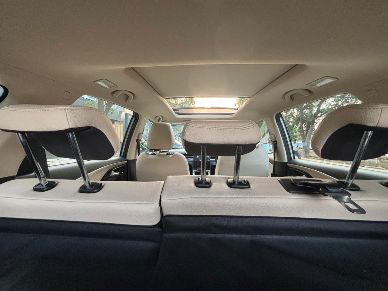 Hector image 4 Hector image 4