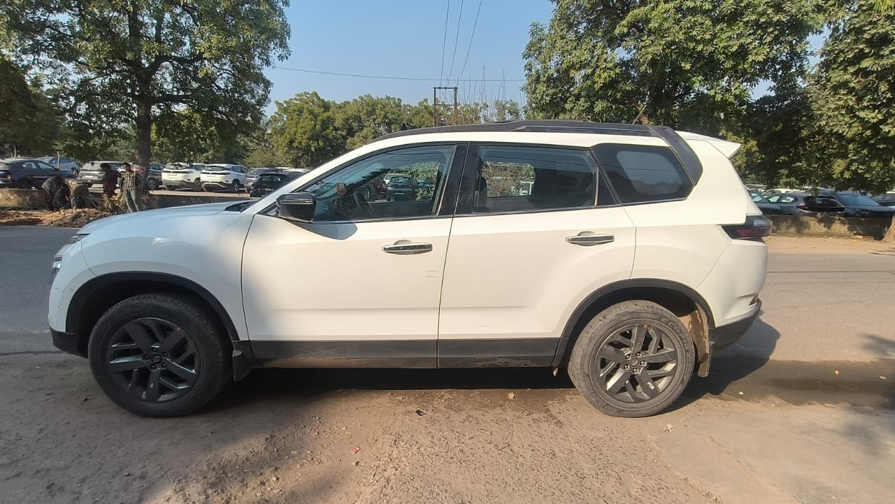 Safari image 2 Safari image 2