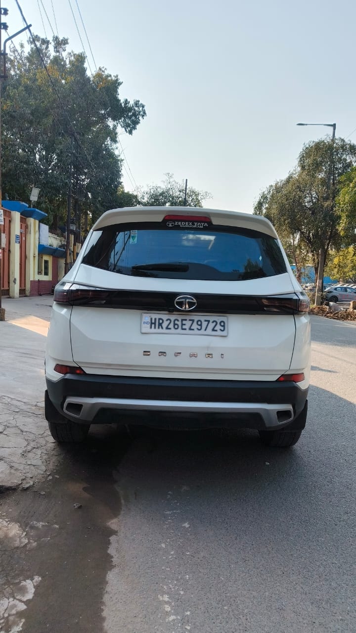 Safari image 4 Safari image 4