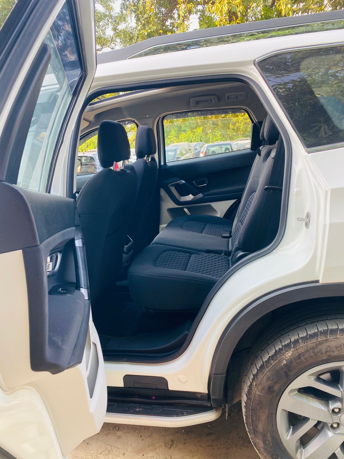 Safari image 17 Safari image 17