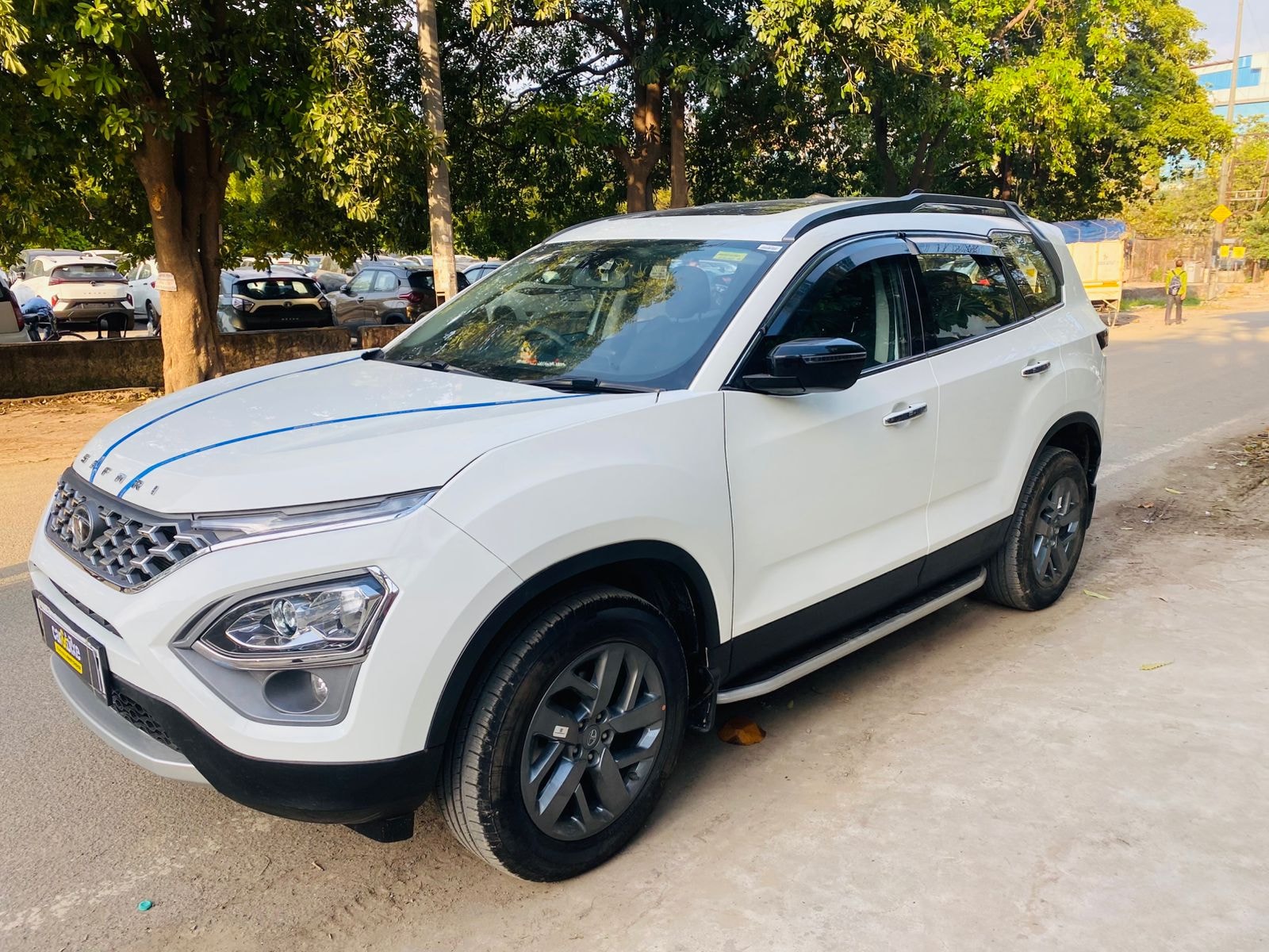 Safari image 1 Safari image 1