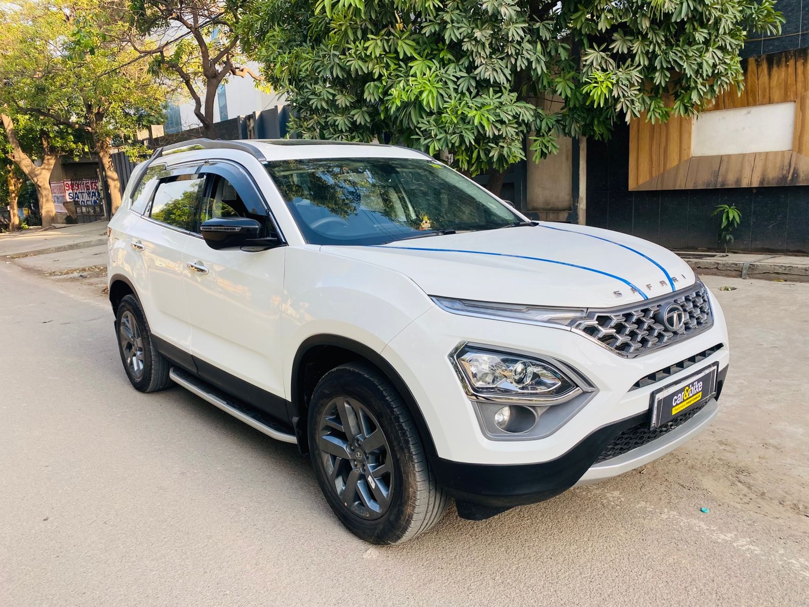 Safari image 7 Safari image 7