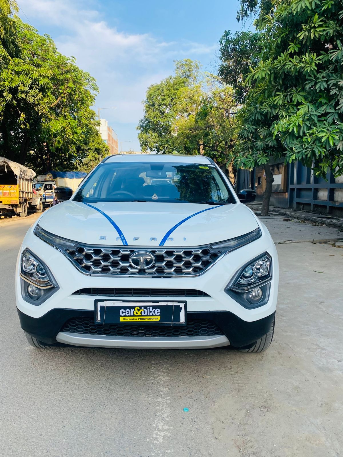 Safari image 8 Safari image 8