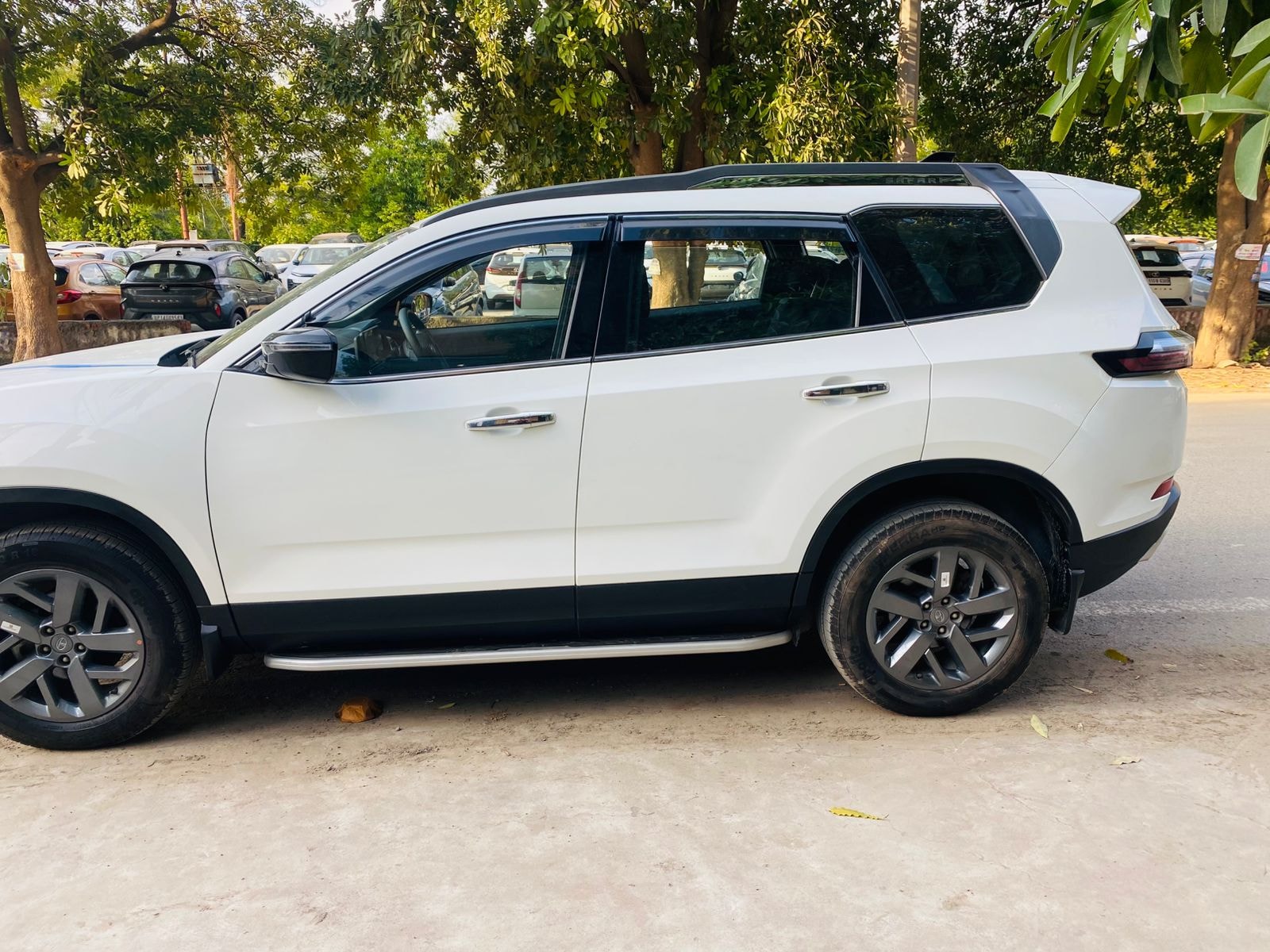 Safari image 2 Safari image 2