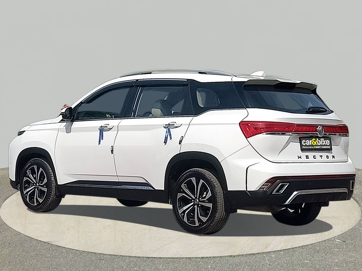 Hector image 3 Hector image 3