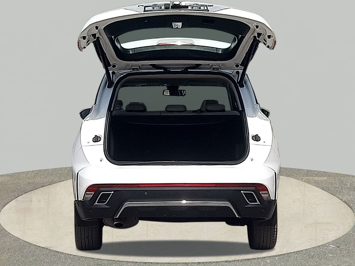 Hector image 10 Hector image 10