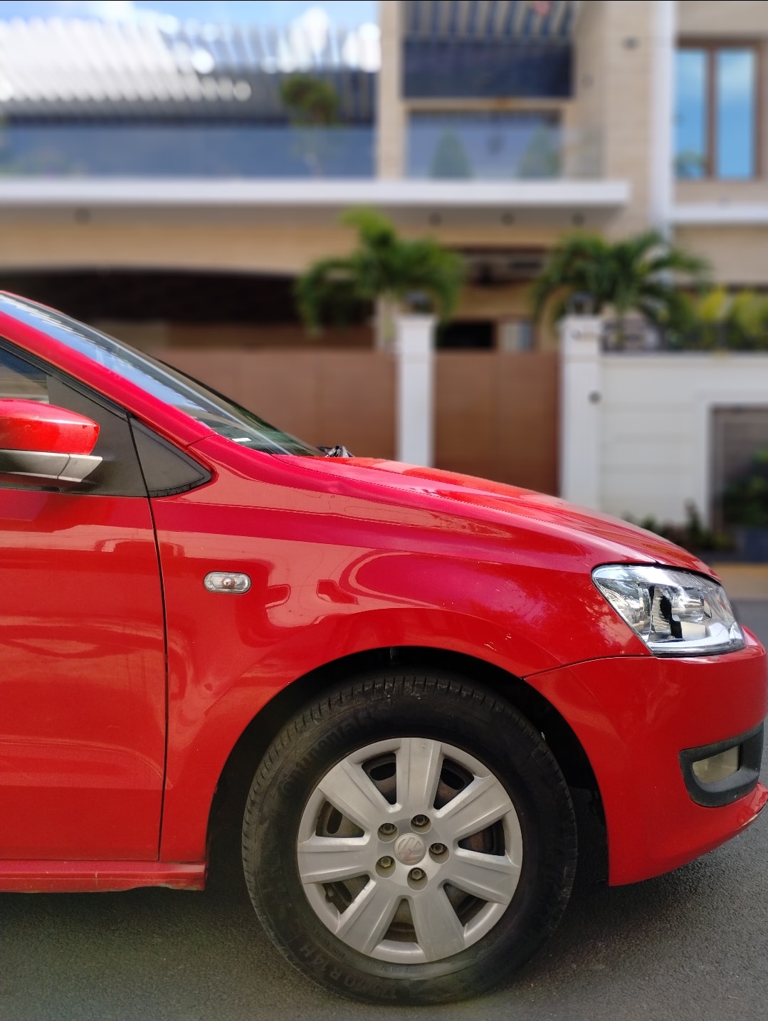 Polo image 9 Polo image 9