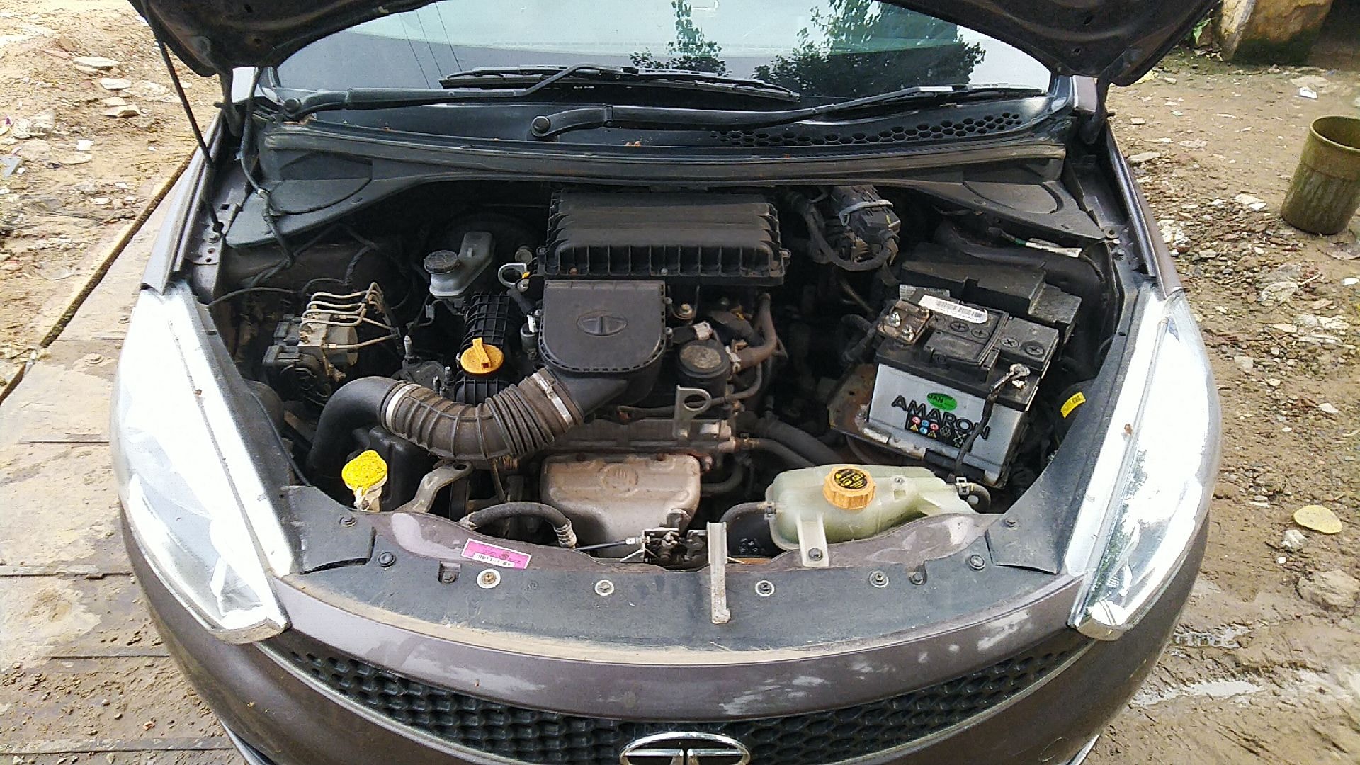 Tiago image 14 Tiago image 14