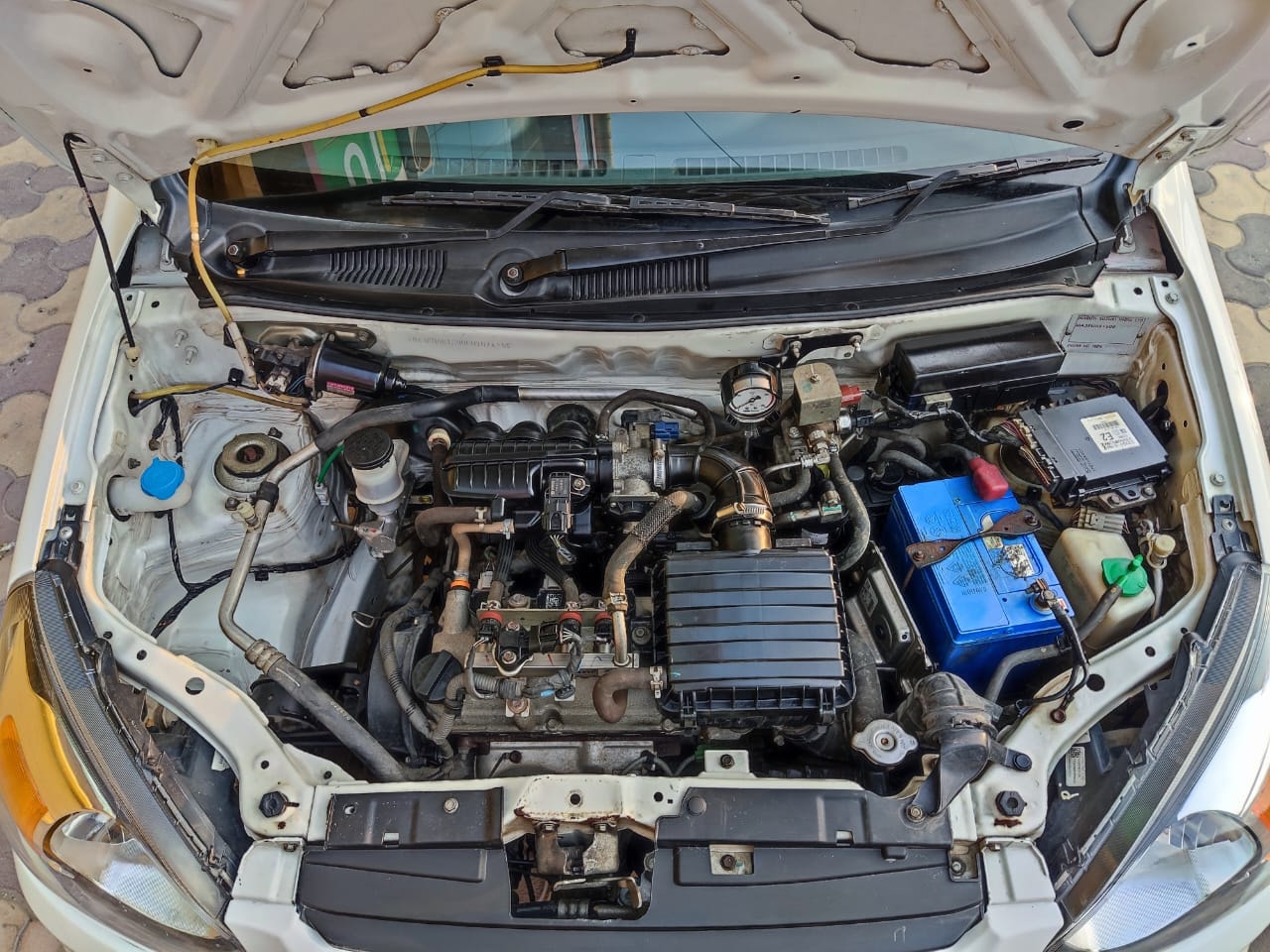 Alto 800 image 17 Alto 800 image 17