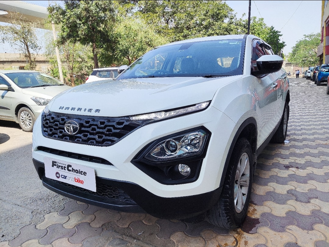 Harrier image 1 Harrier image 1