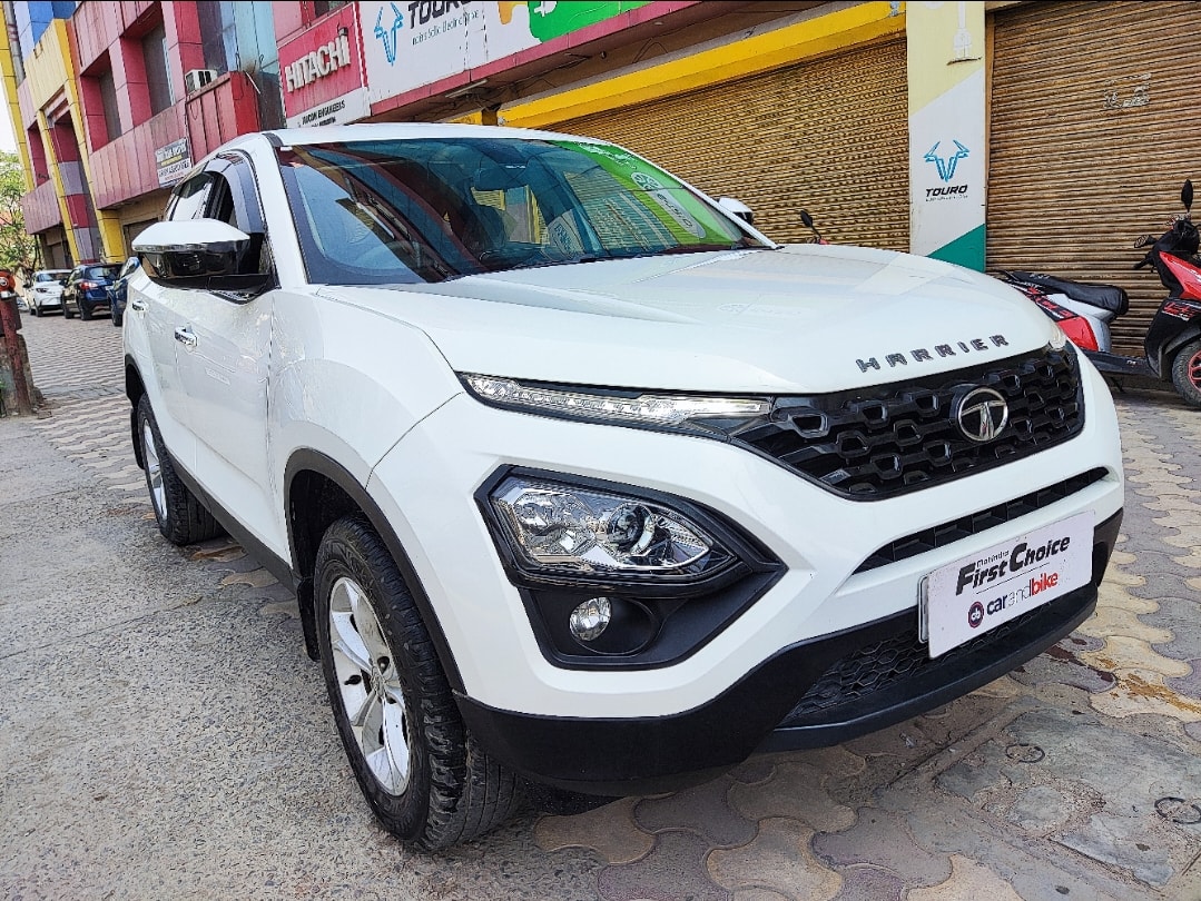 Harrier image 7 Harrier image 7