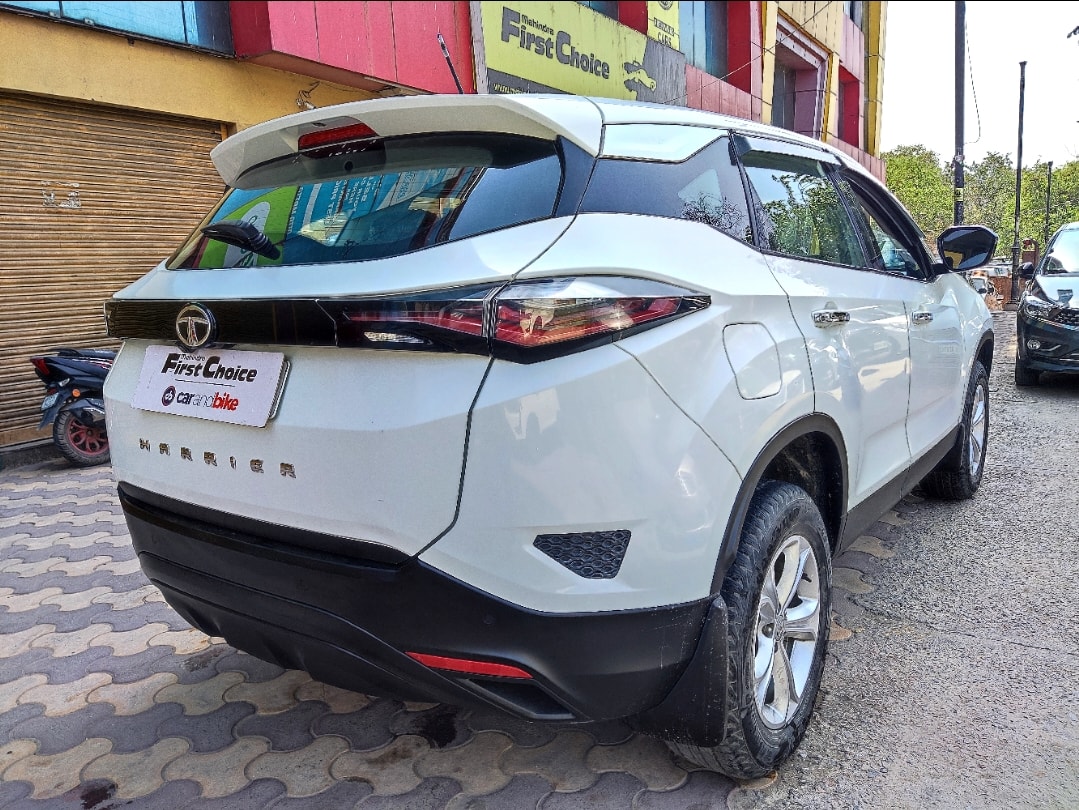 Harrier image 5 Harrier image 5