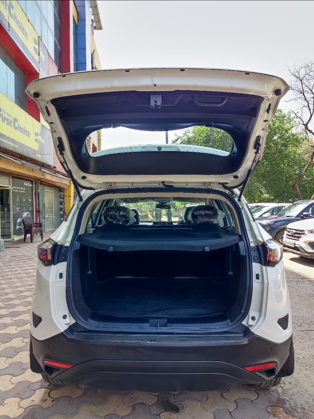 Harrier image 10 Harrier image 10