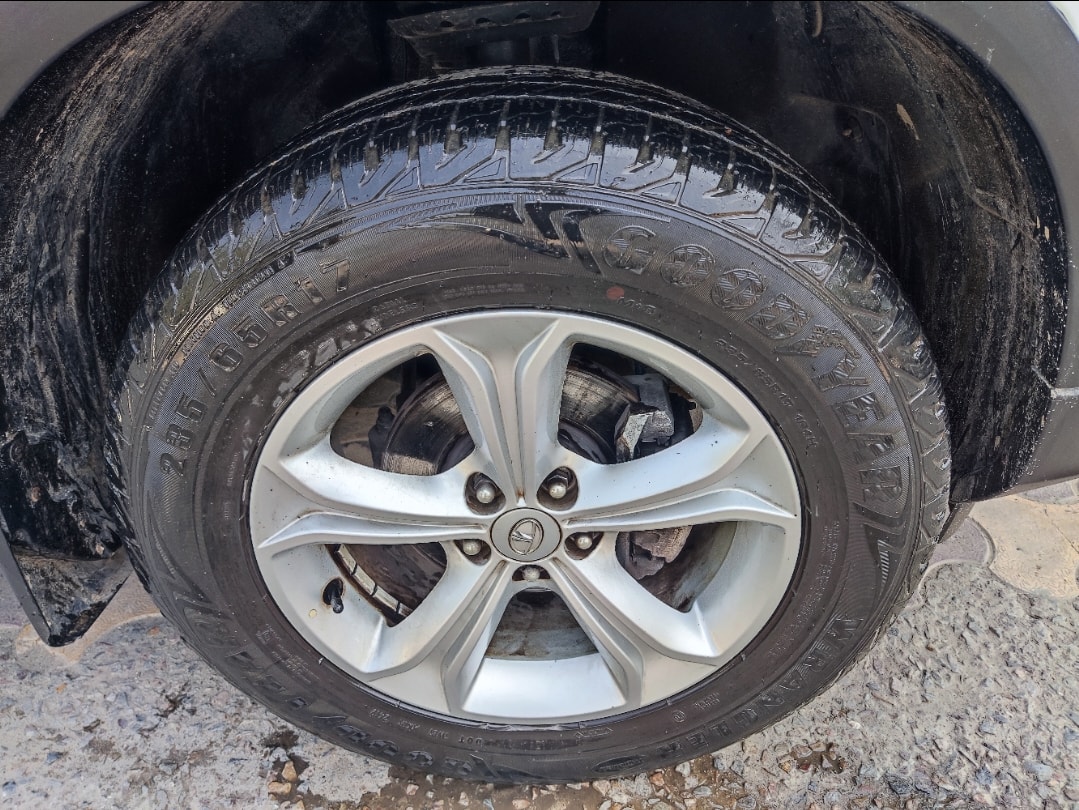 Harrier image 9 Harrier image 9