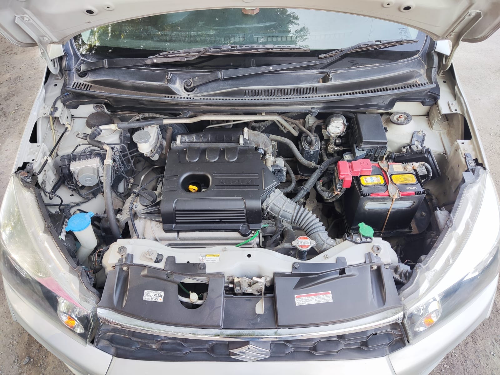 Celerio image 16 Celerio image 16