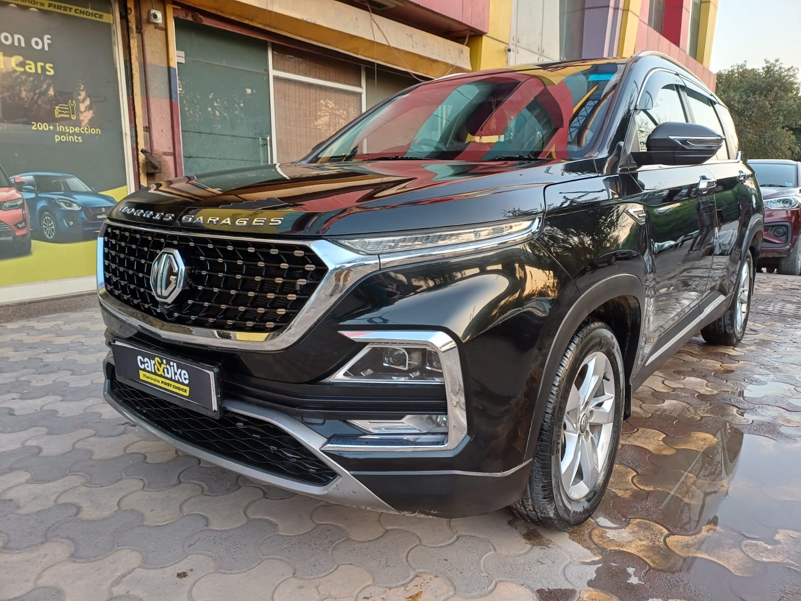 Hector image 1 Hector image 1