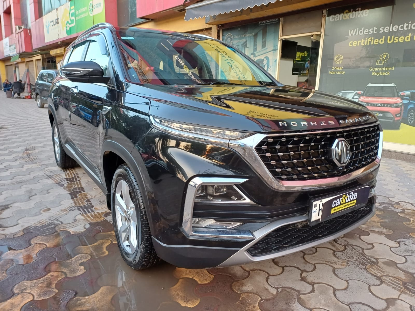 Hector image 7 Hector image 7