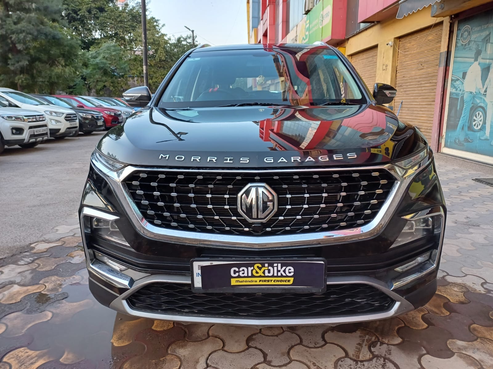 Hector image 8 Hector image 8