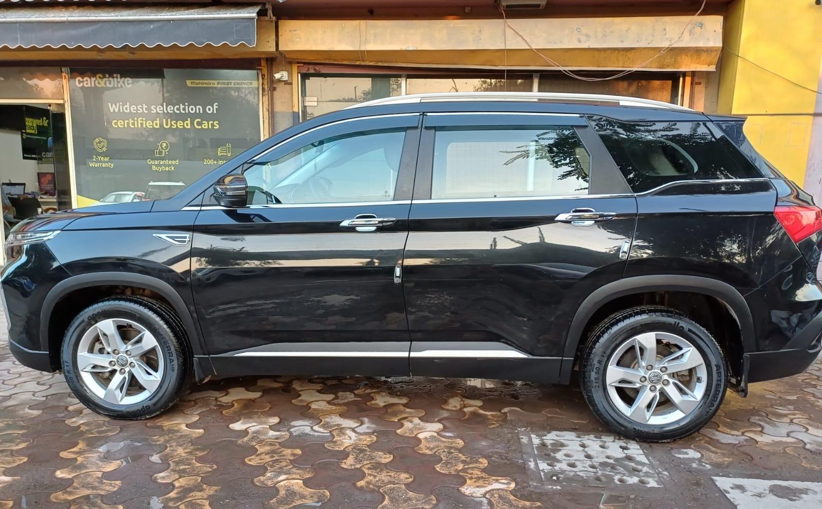 Hector image 2 Hector image 2