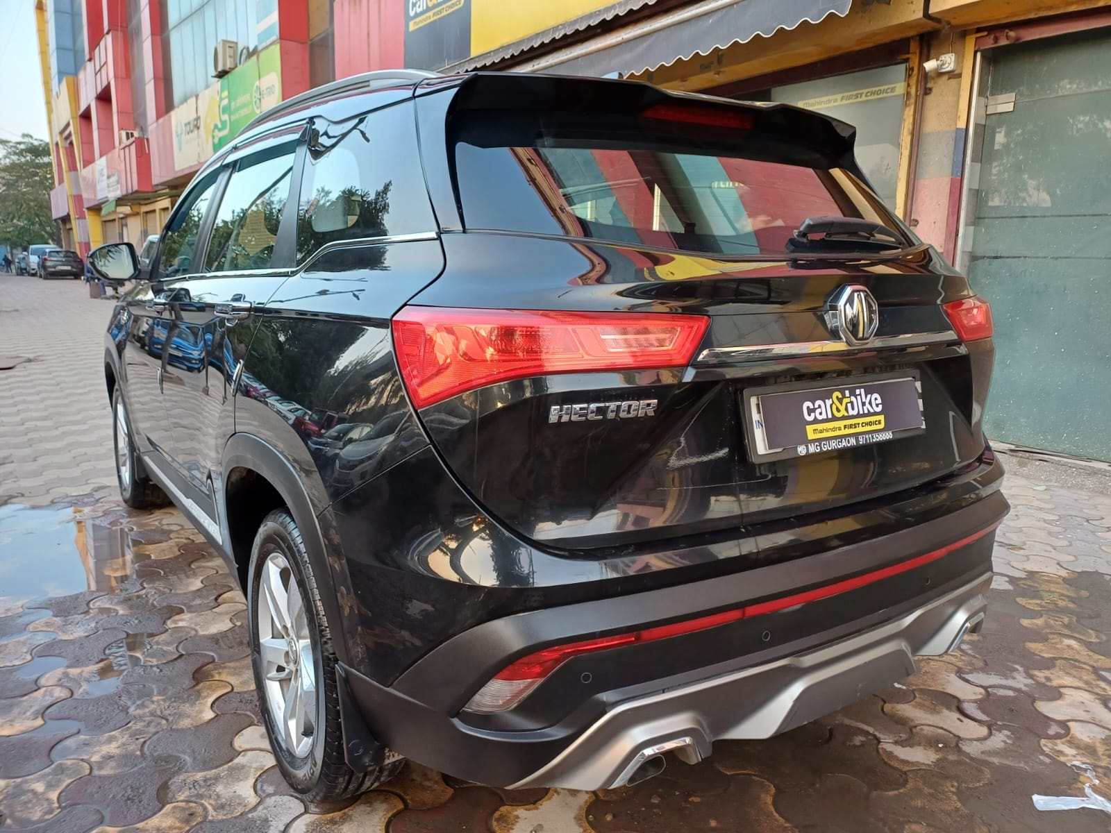 Hector image 3 Hector image 3