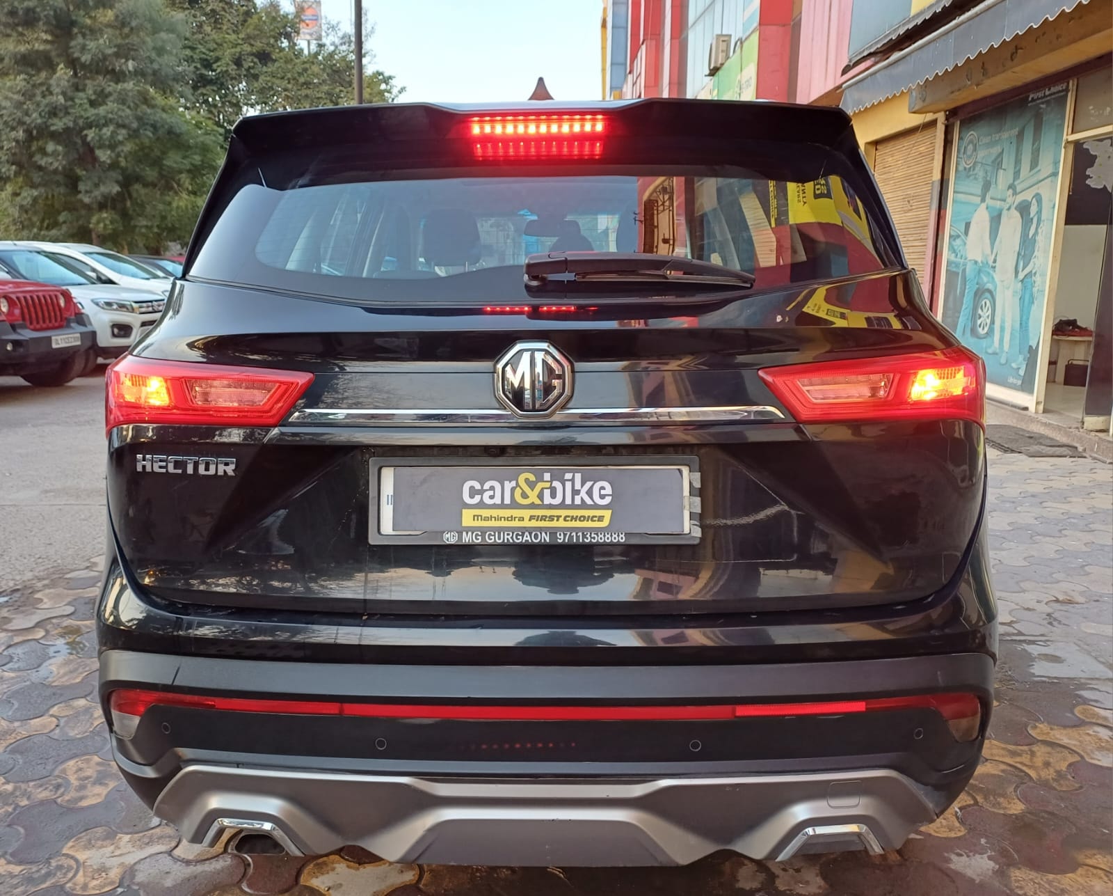 Hector image 4 Hector image 4