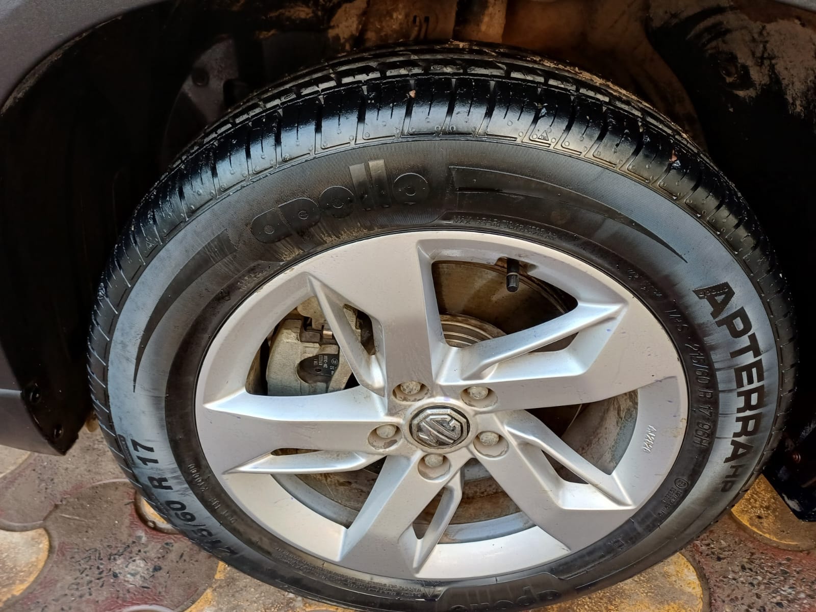 Hector image 9 Hector image 9