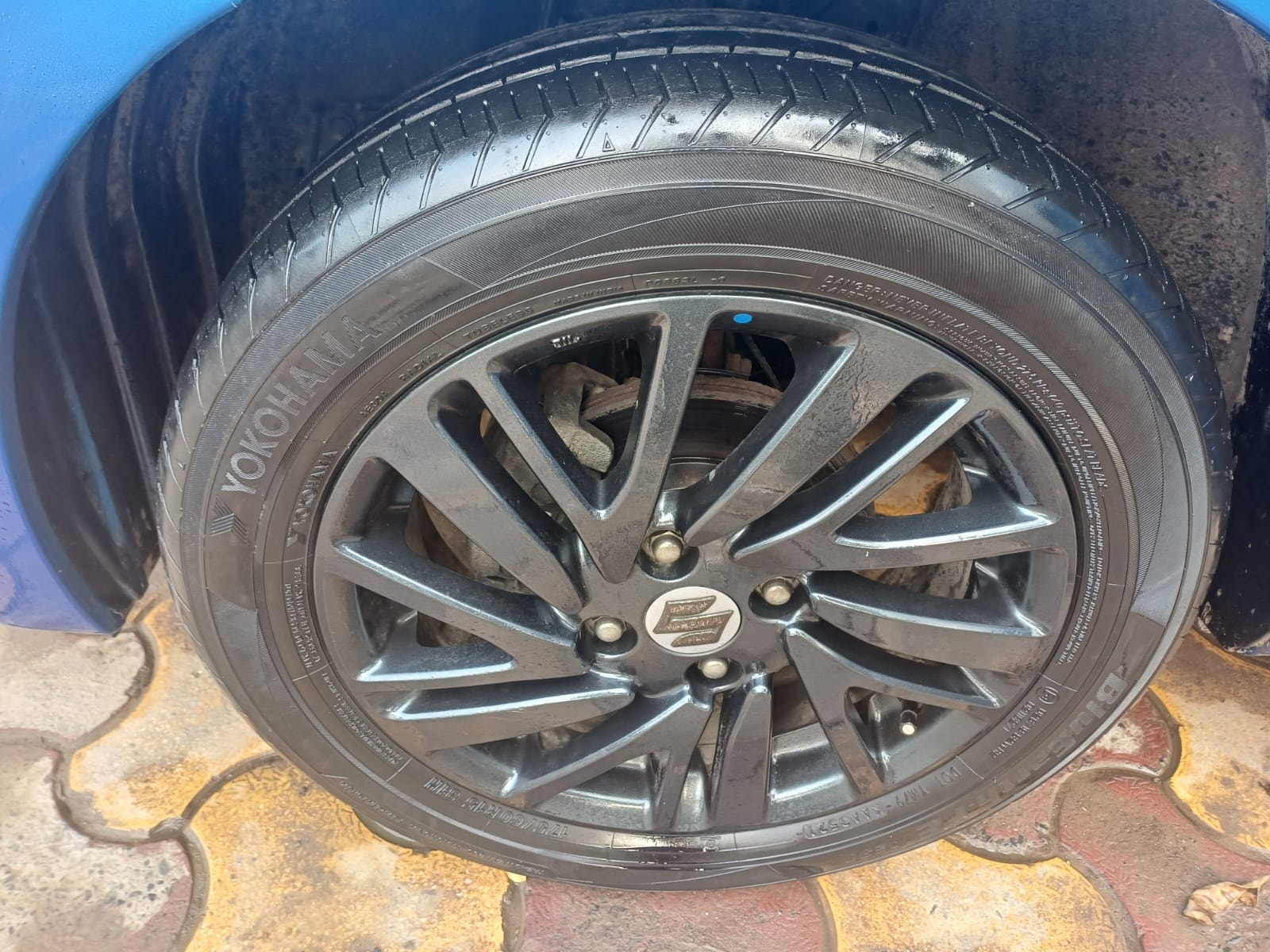 Celerio image 9 Celerio image 9