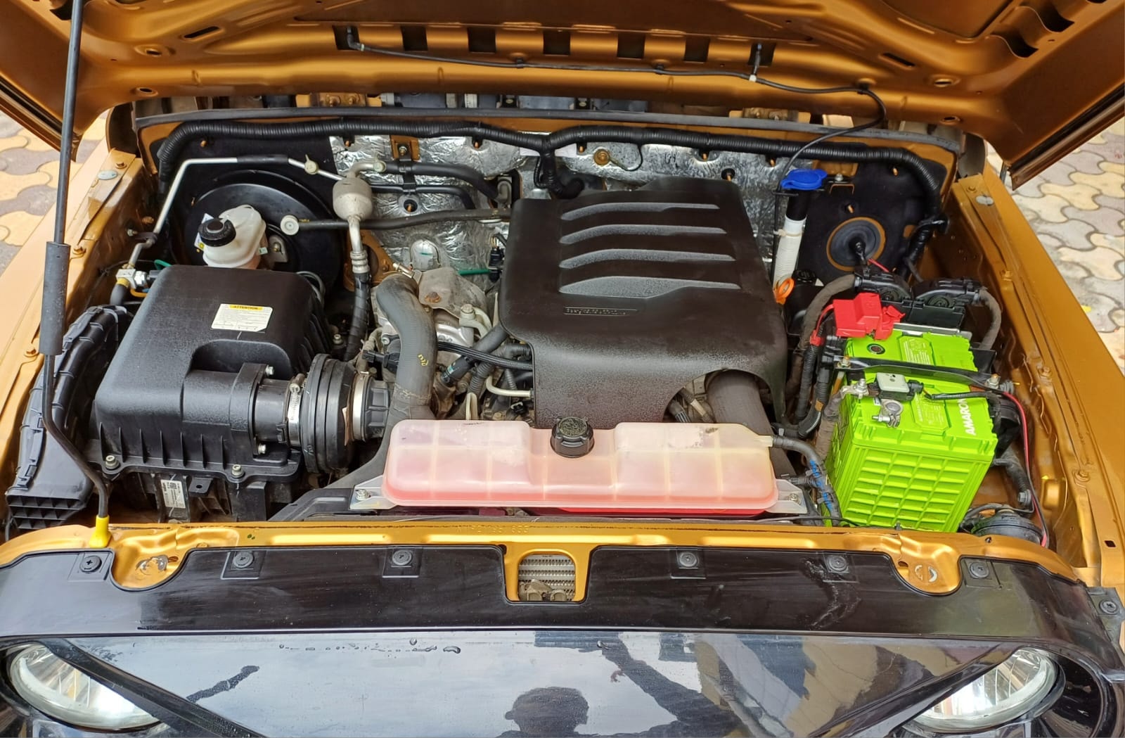 Thar image 17 Thar image 17