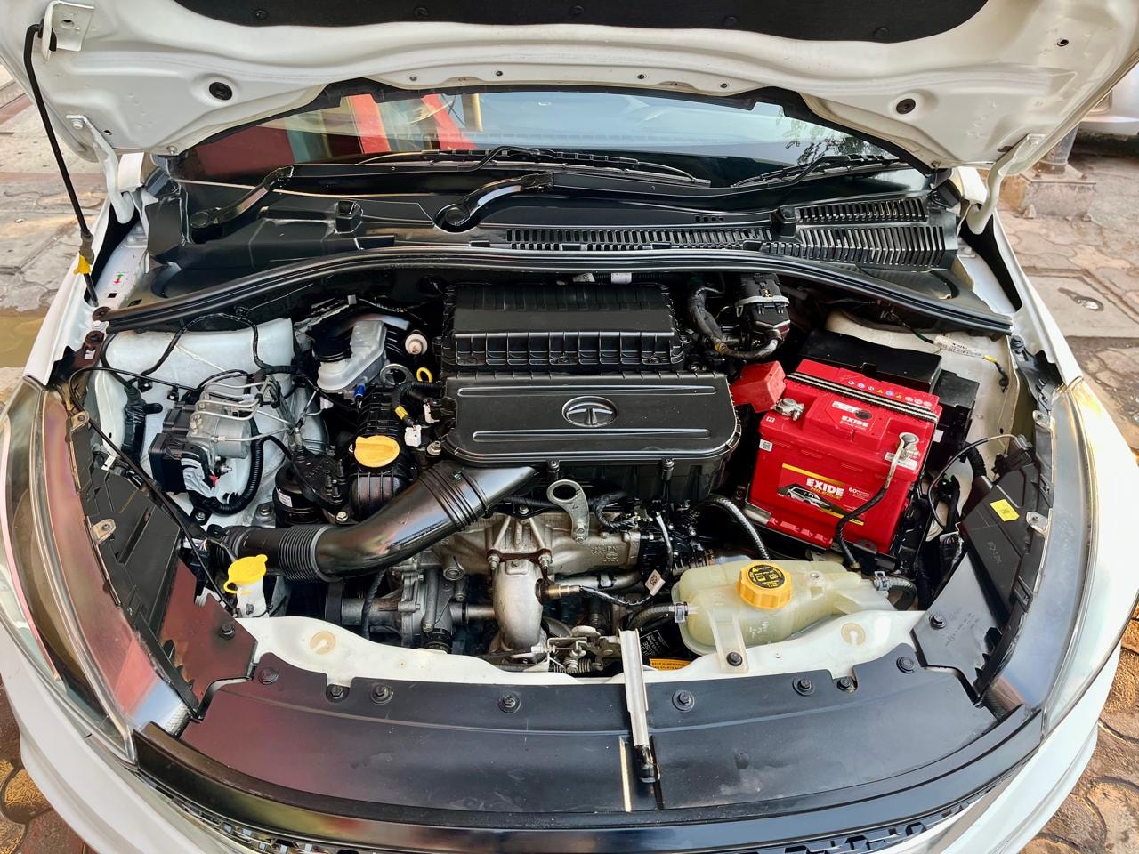 Tigor image 17 Tigor image 17