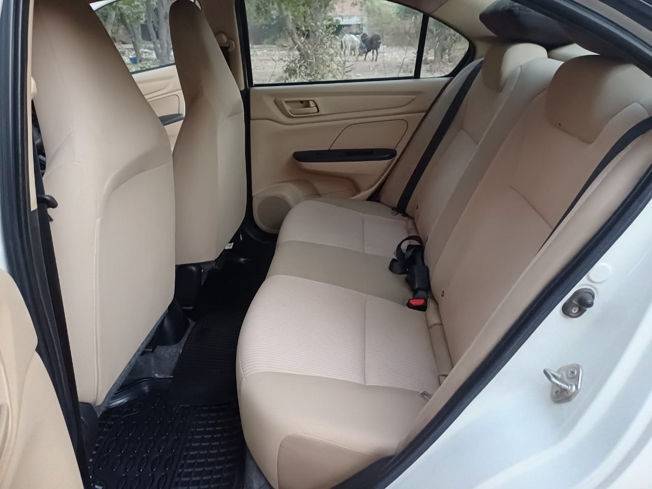 Amaze image 15 Amaze image 15