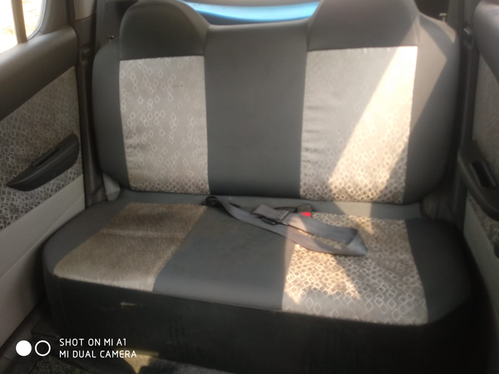 Alto 800 image 15 Alto 800 image 15