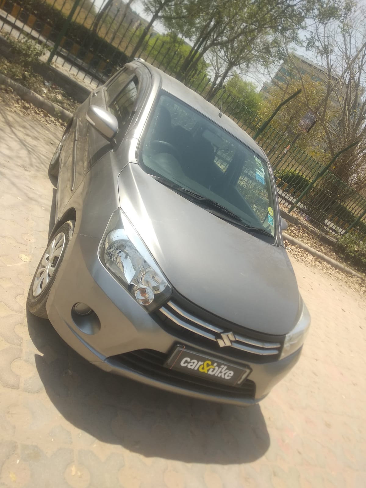 Celerio image 1 Celerio image 1