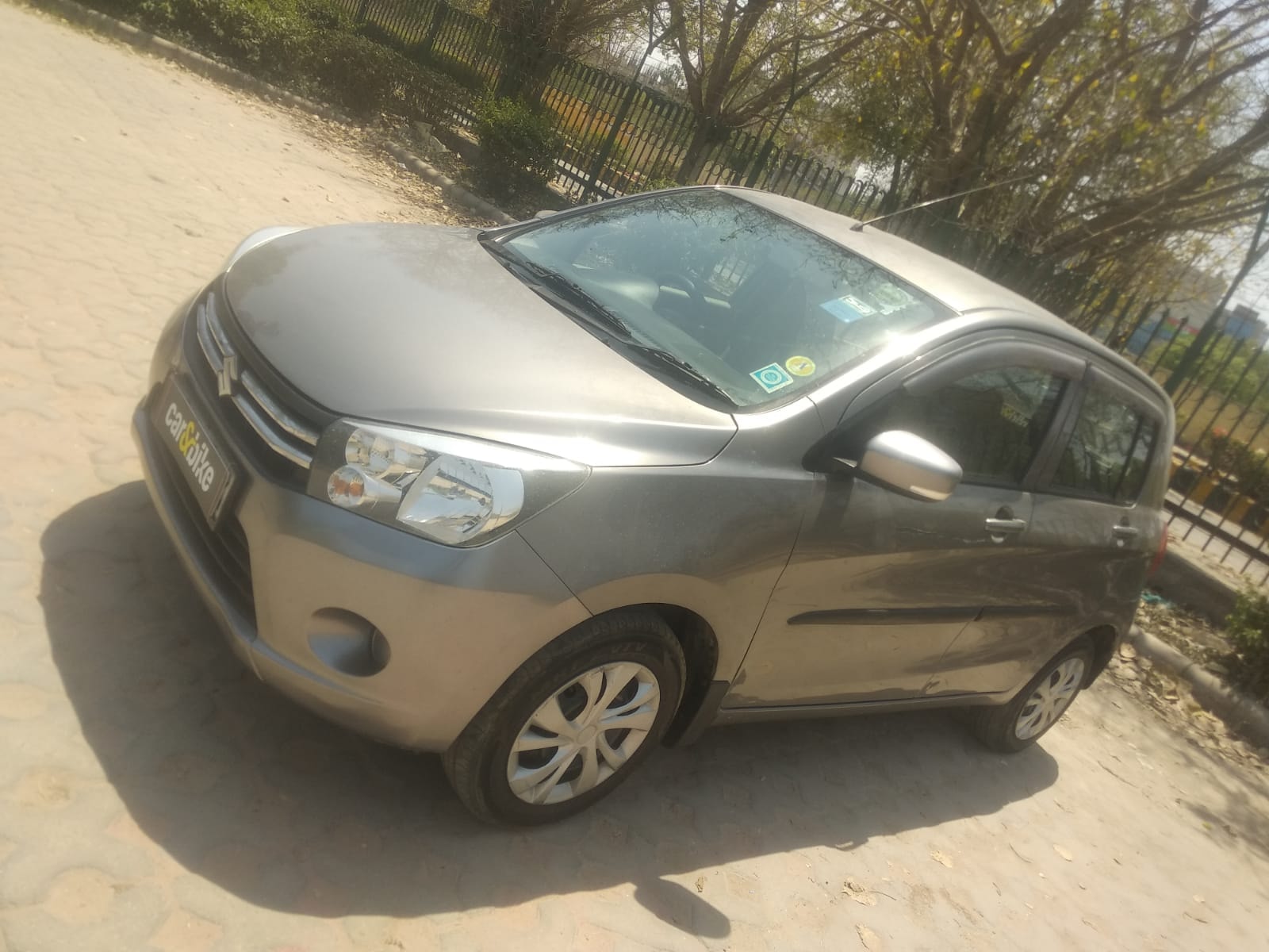 Celerio image 7 Celerio image 7