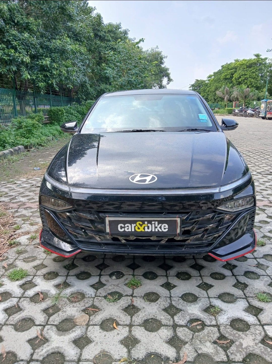 Verna image 8 Verna image 8