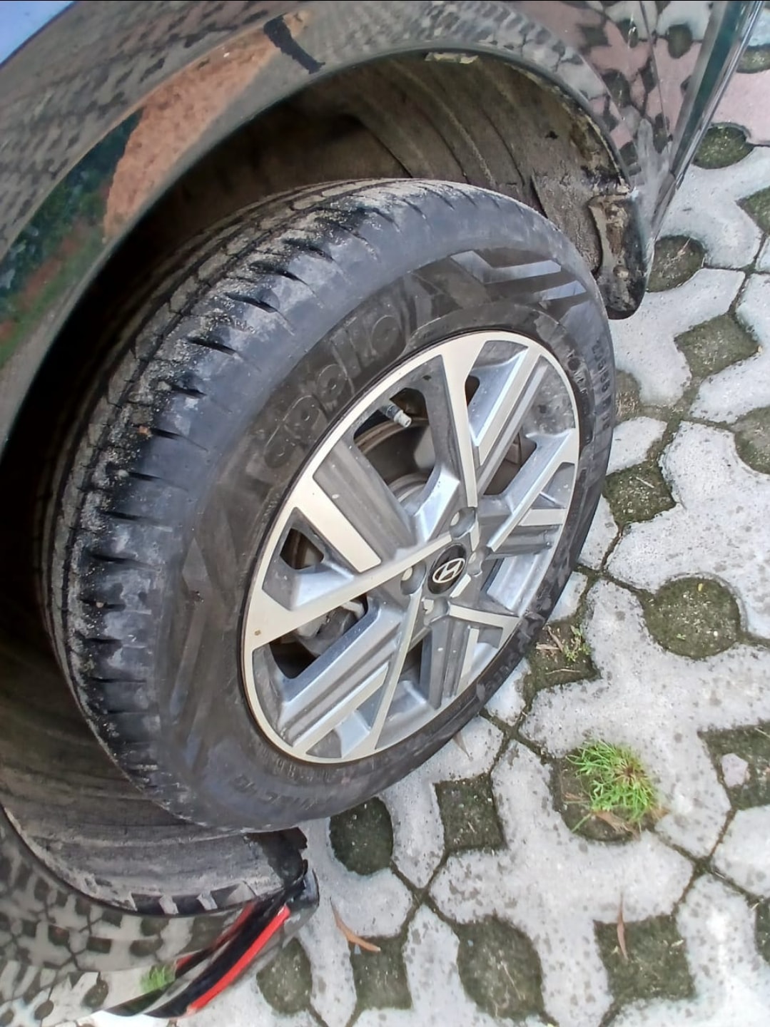 Verna image 9 Verna image 9