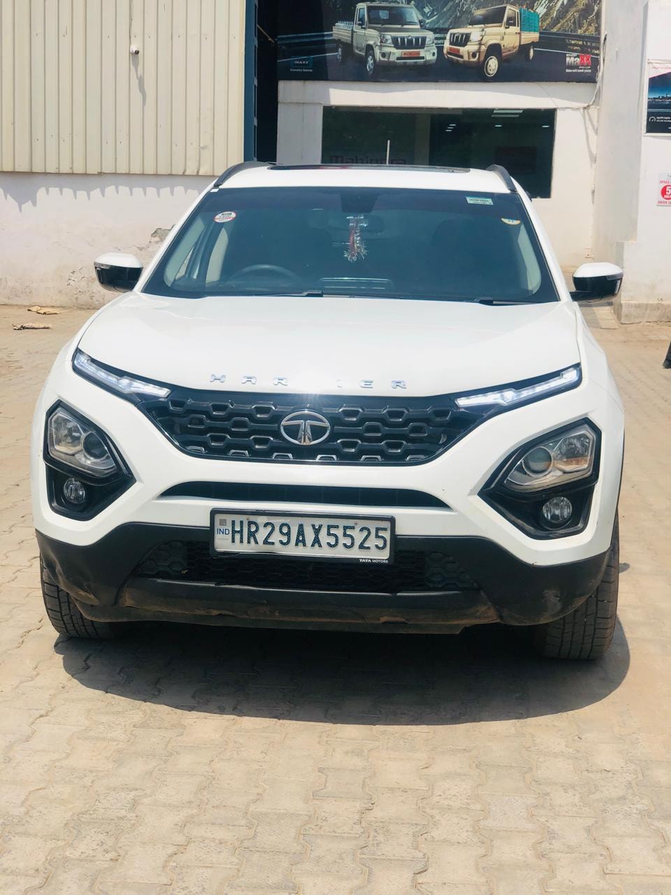 Harrier image 1 Harrier image 1