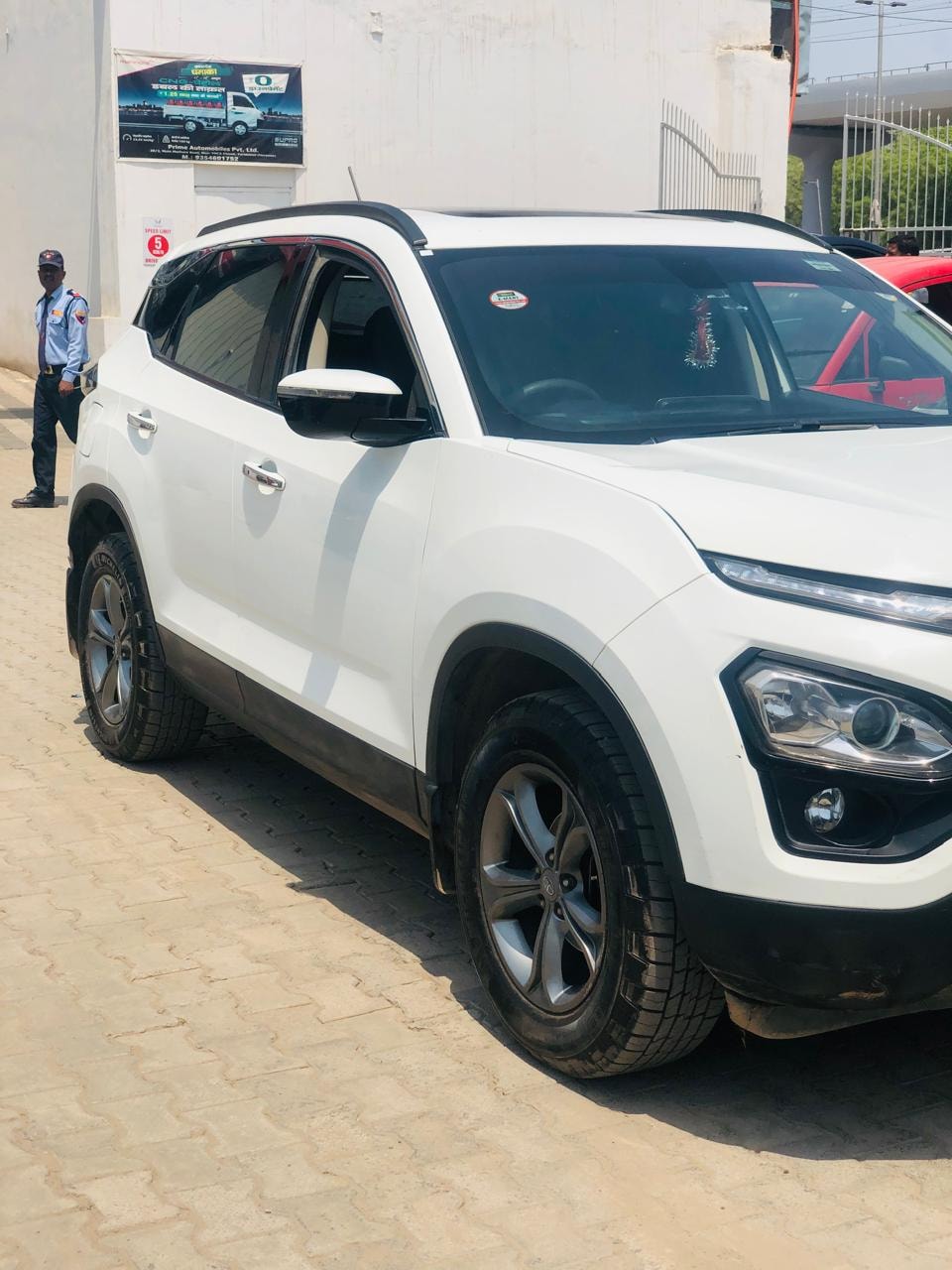 Harrier image 6 Harrier image 6