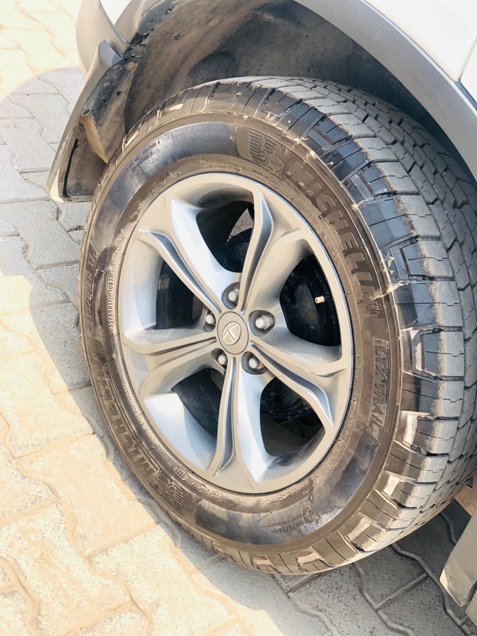 Harrier image 9 Harrier image 9