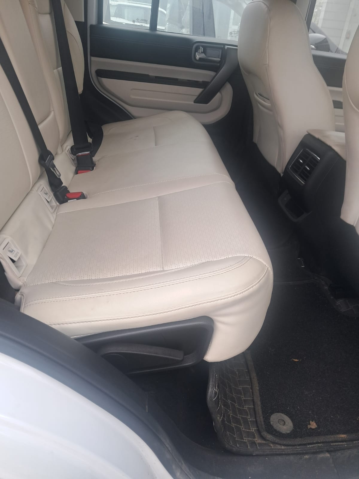 Thar Roxx image 15 Thar Roxx image 15