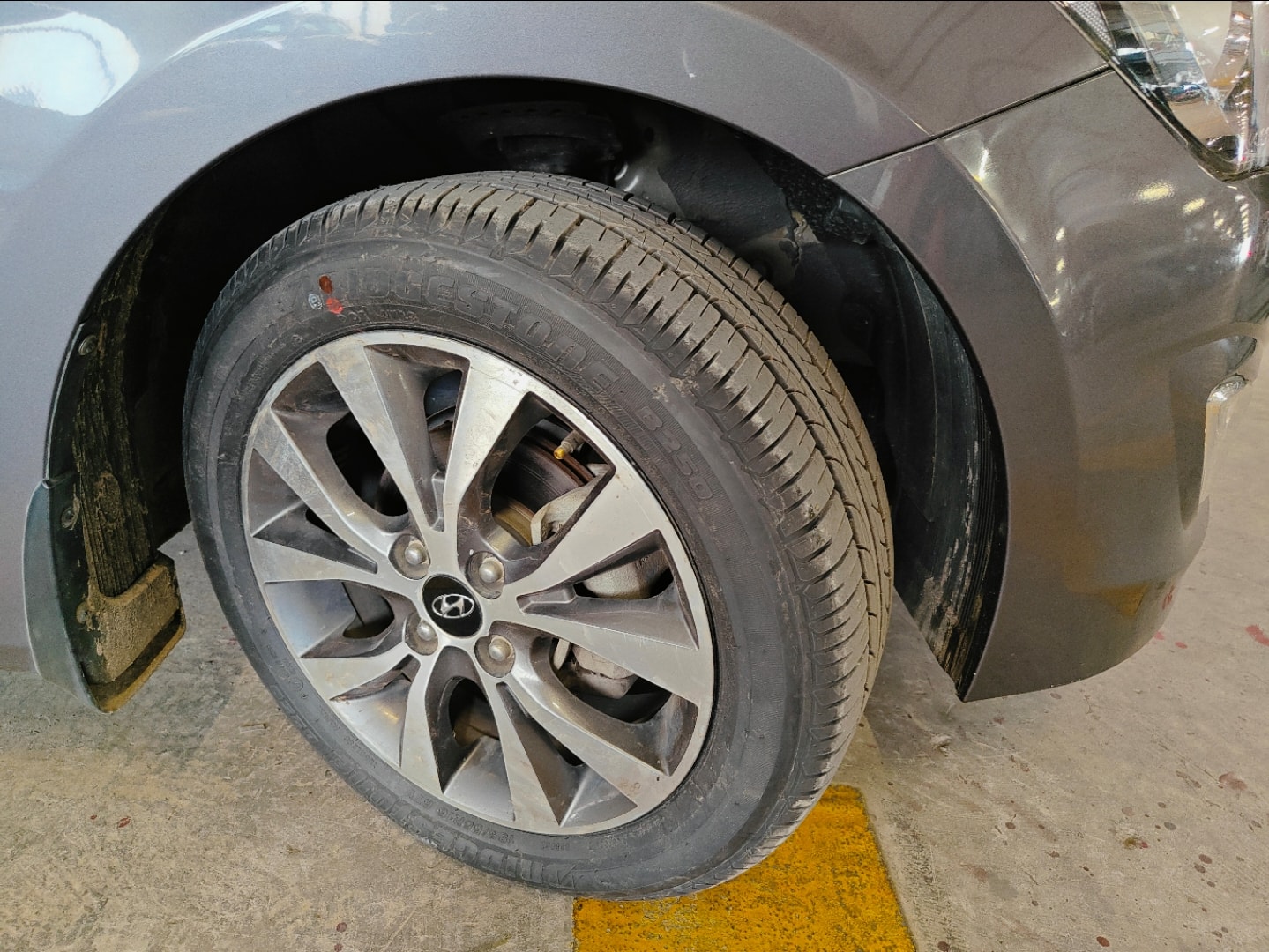 Verna image 9 Verna image 9