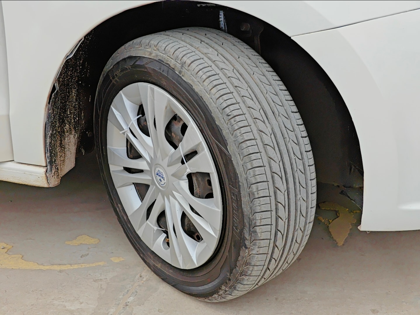 Rapid image 9 Rapid image 9