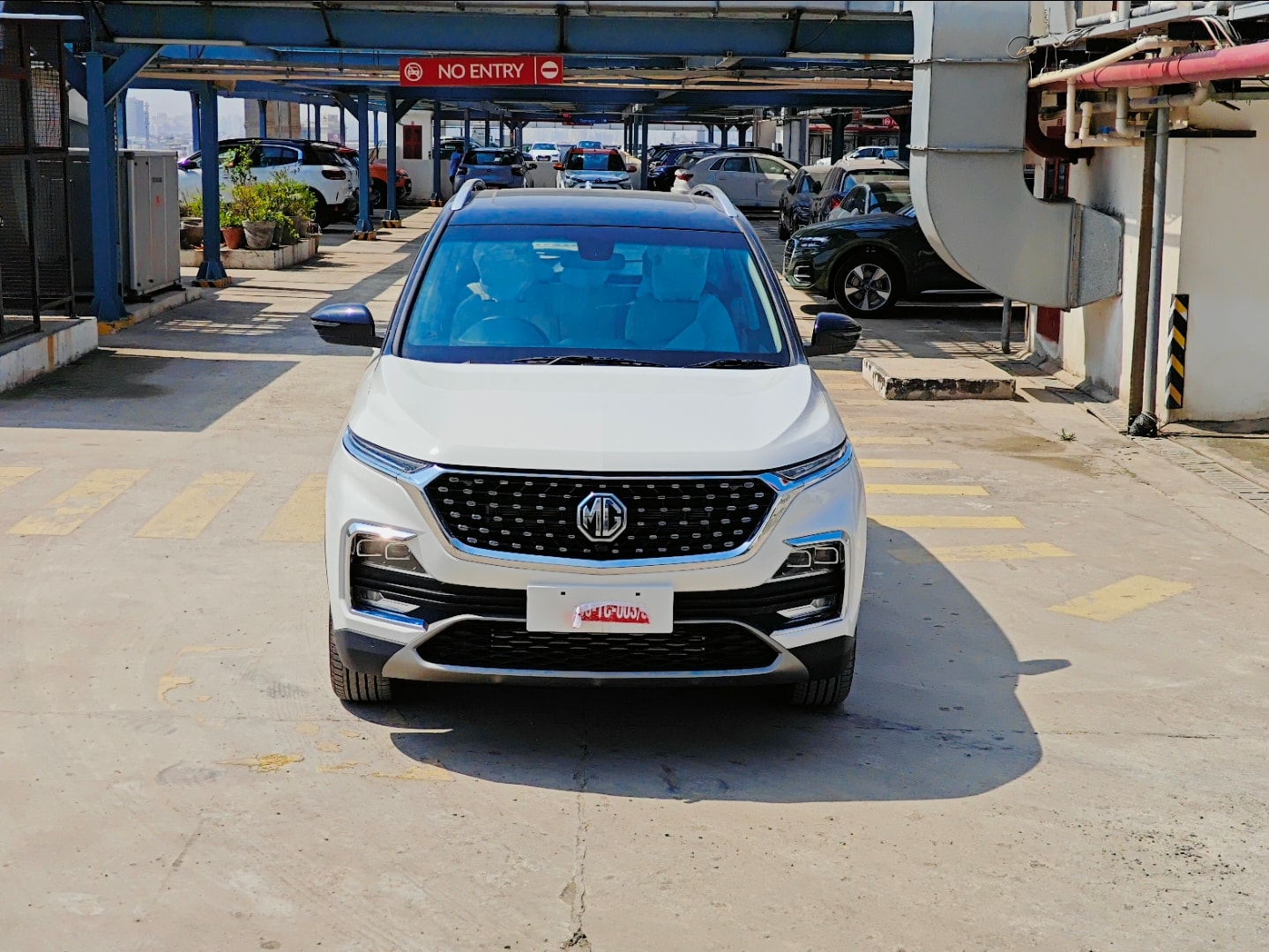 Hector image 1 Hector image 1